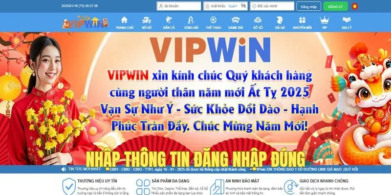 Cẩn thận từng ký tự vào tài khoản